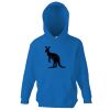 Kids premium hooded sweatshirt Thumbnail