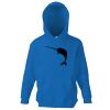 Kids premium hooded sweatshirt Thumbnail