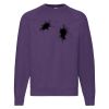 Classic 80/20 raglan sweatshirt Thumbnail